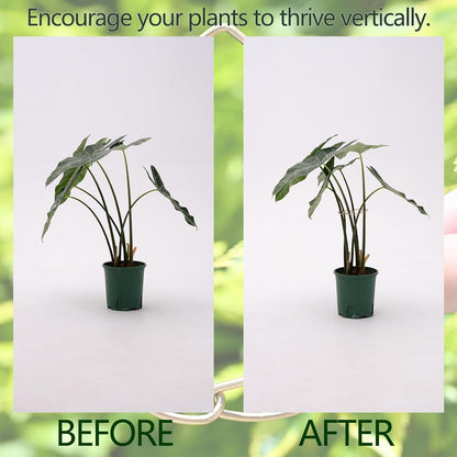 5PCS Metal Plant Stem Support-Monstera Stabilizer Grapple Holder