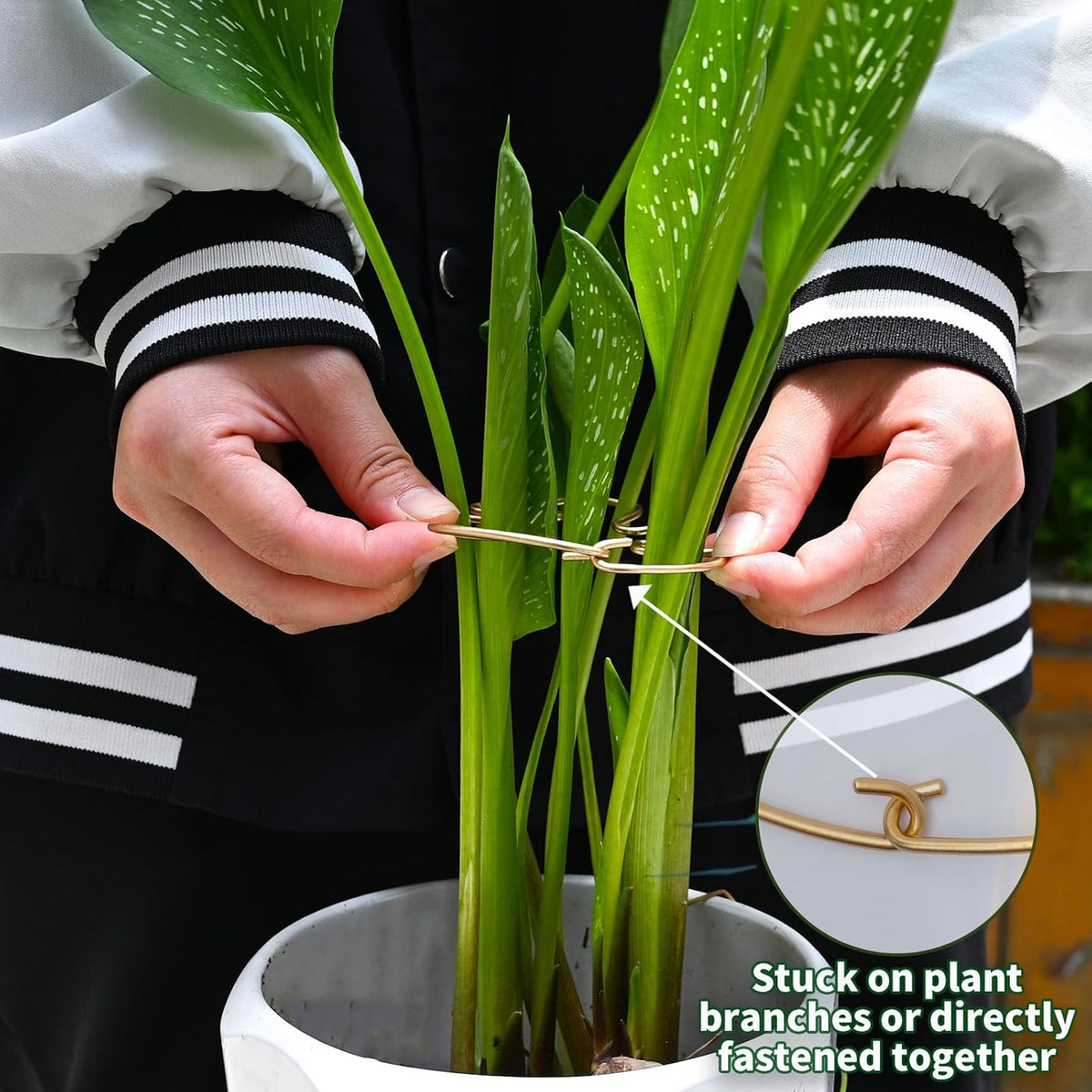 5PCS Metal Plant Stem Support-Monstera Stabilizer Grapple Holder
