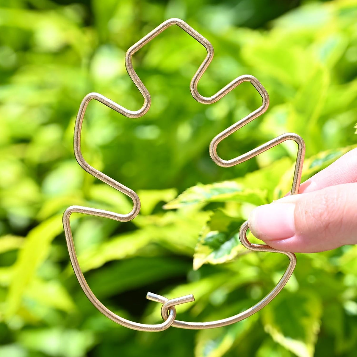 5PCS Metal Plant Stem Support-Monstera Stabilizer Grapple Holder