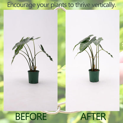 5PCS Metal Plant Stem Support-Monstera Stabilizer Grapple Holder