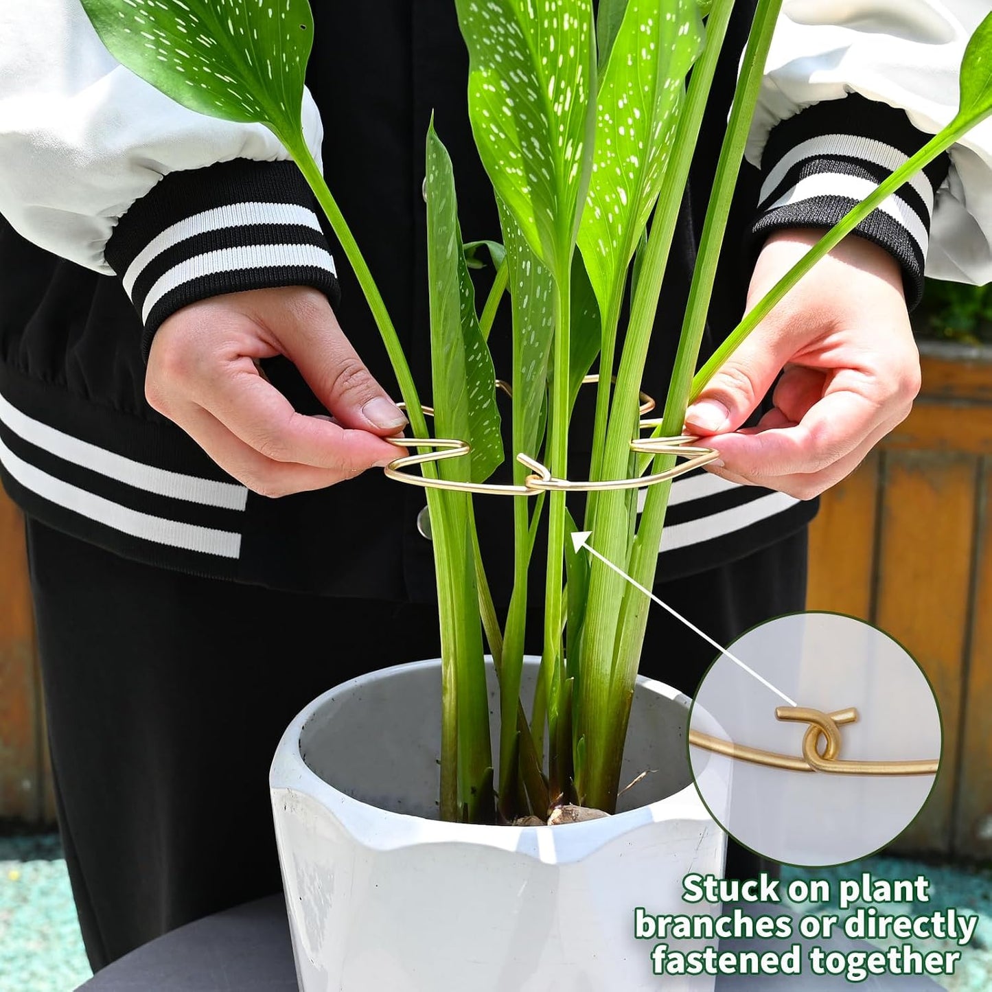 5PCS Metal Plant Stem Support-Monstera Stabilizer Grapple Holder