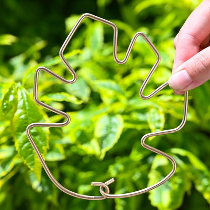 5PCS Metal Plant Stem Support-Monstera Stabilizer Grapple Holder
