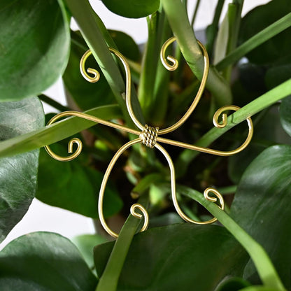 5PCS Metal Plant Stem Support-Monstera Stabilizer Grapple Holder