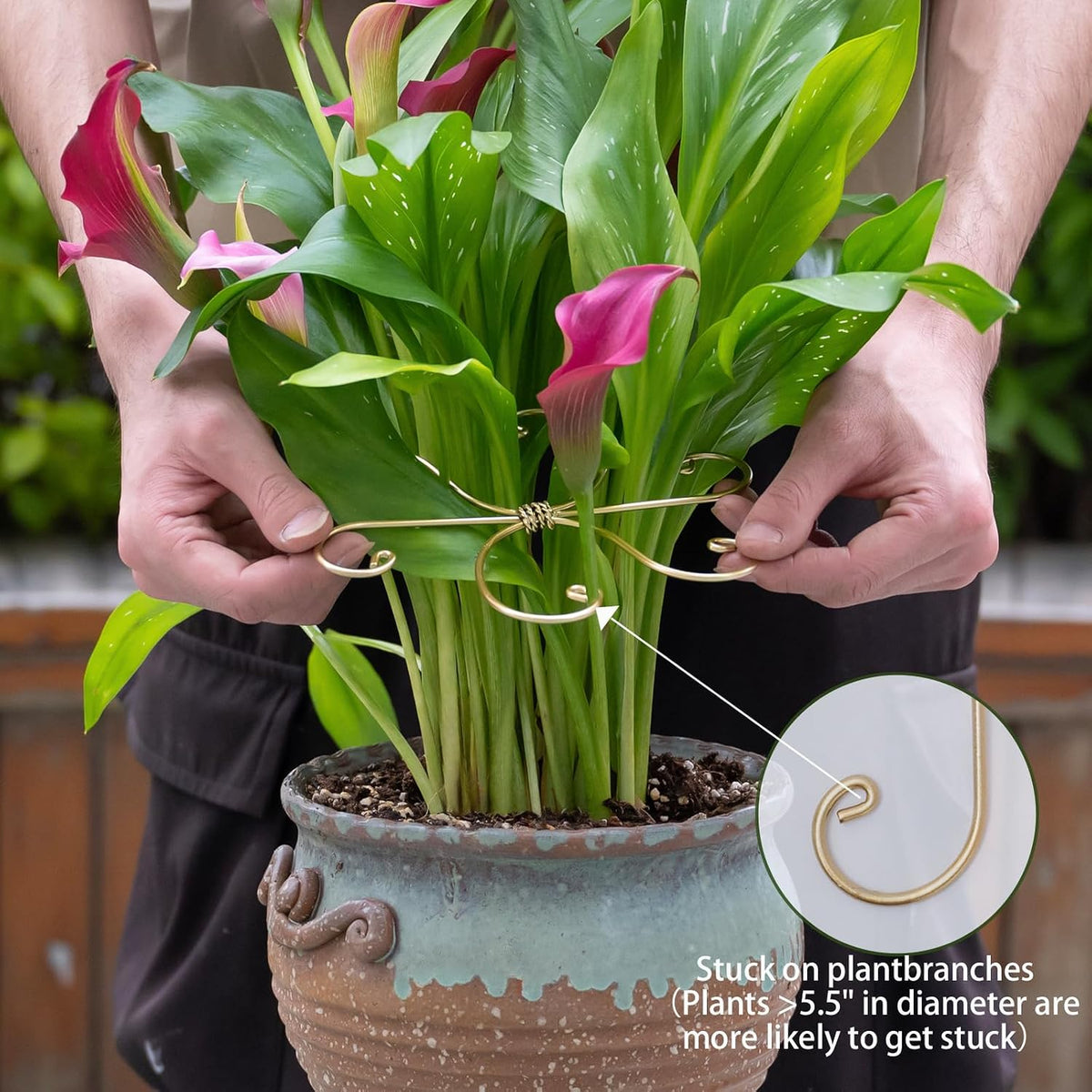 5PCS Metal Plant Stem Support-Monstera Stabilizer Grapple Holder