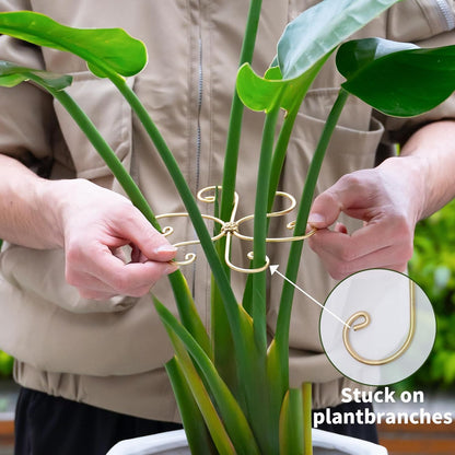 5PCS Metal Plant Stem Support-Monstera Stabilizer Grapple Holder