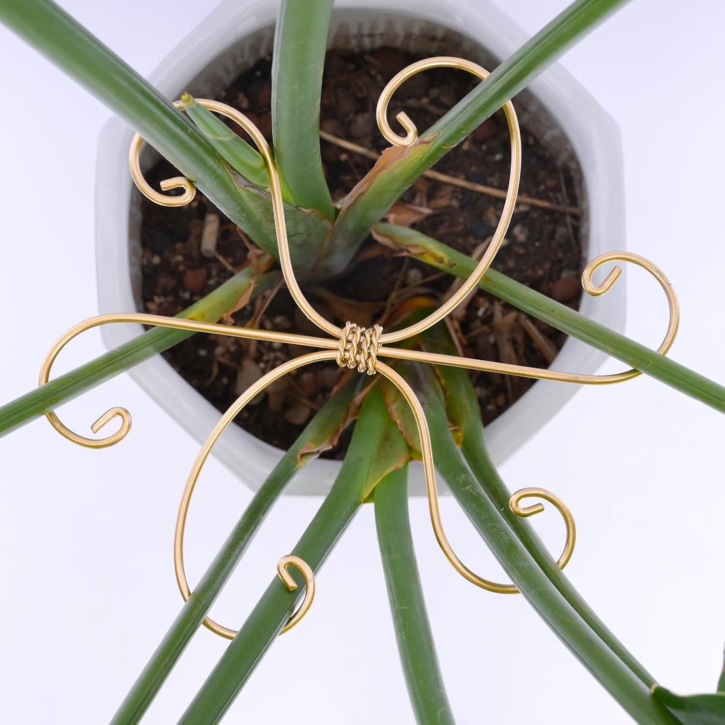 5PCS Metal Plant Stem Support-Monstera Stabilizer Grapple Holder