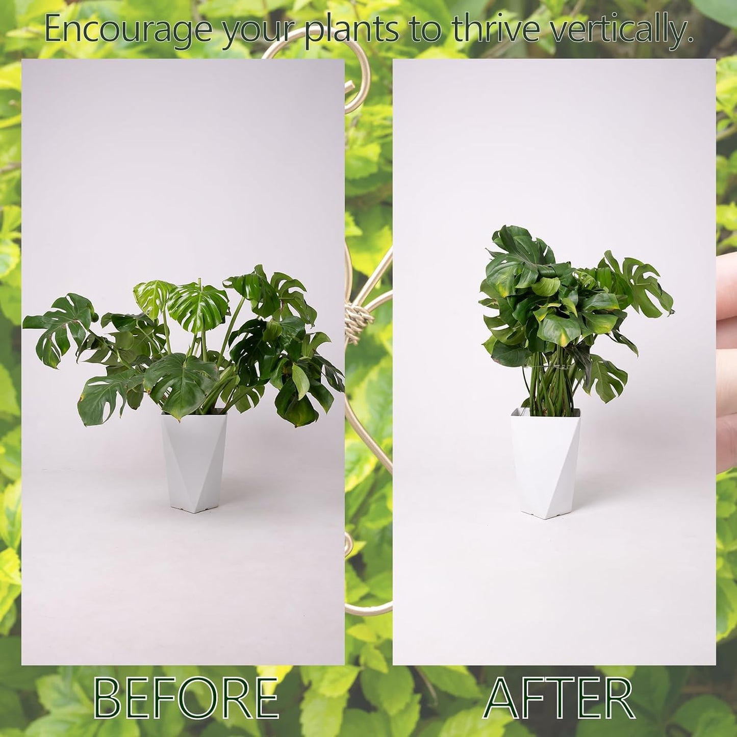 5PCS Metal Plant Stem Support-Monstera Stabilizer Grapple Holder