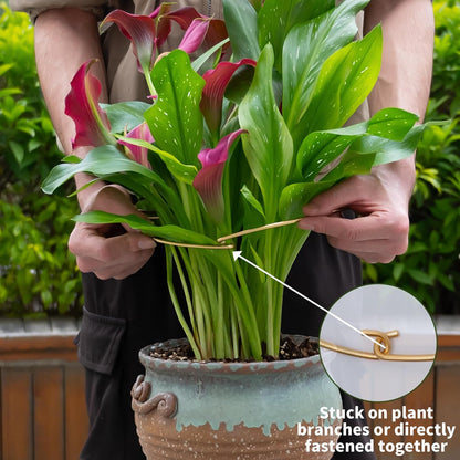 5PCS Metal Plant Stem Support-Monstera Stabilizer Grapple Holder