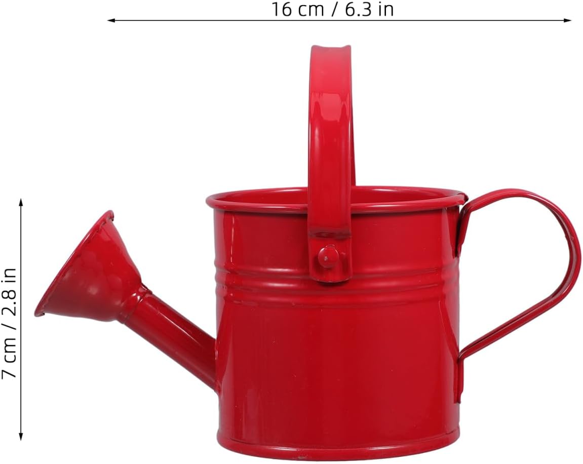 2 Pack Kids Metal Watering Can for Gardening, Small Iron Watering Can Set for Indoor Outdoor Plants, Mini Toddler Water Pot for Succulents Houseplants Bonsai (Blue, Red)