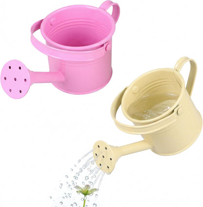 2 Pack Kids Metal Watering Can for Gardening, Small Iron Watering Can Set for Indoor Outdoor Plants, Mini Toddler Water Pot for Succulents Houseplants Bonsai (Blue, Red)