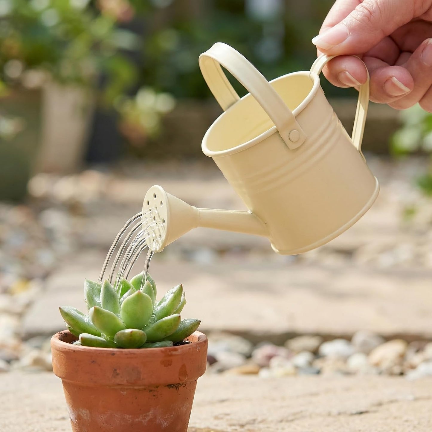 2 Pack Kids Metal Watering Can for Gardening, Small Iron Watering Can Set for Indoor Outdoor Plants, Mini Toddler Water Pot for Succulents Houseplants Bonsai (Blue, Red)