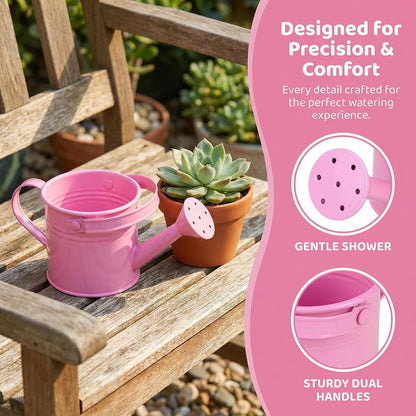 2 Pack Kids Metal Watering Can for Gardening, Small Iron Watering Can Set for Indoor Outdoor Plants, Mini Toddler Water Pot for Succulents Houseplants Bonsai (Blue, Red)