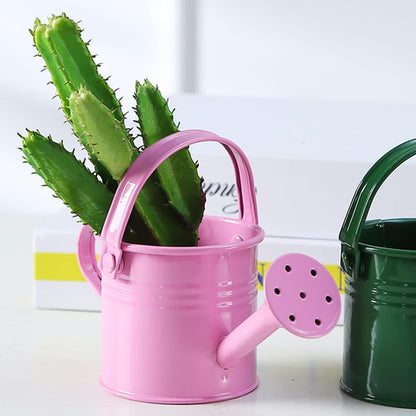 2 Pack Kids Metal Watering Can for Gardening, Small Iron Watering Can Set for Indoor Outdoor Plants, Mini Toddler Water Pot for Succulents Houseplants Bonsai (Blue, Red)