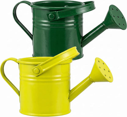 2 Pack Kids Metal Watering Can for Gardening, Small Iron Watering Can Set for Indoor Outdoor Plants, Mini Toddler Water Pot for Succulents Houseplants Bonsai (Blue, Red)