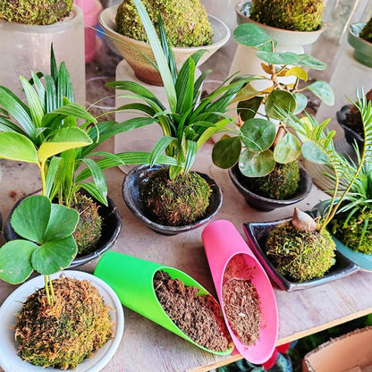 Bonsai Soil Scoop Plastic Succulent Soil Scoop Indoor Plants Little Small Potting Shovel Bucket Shovel for Garden Planting,9PCS