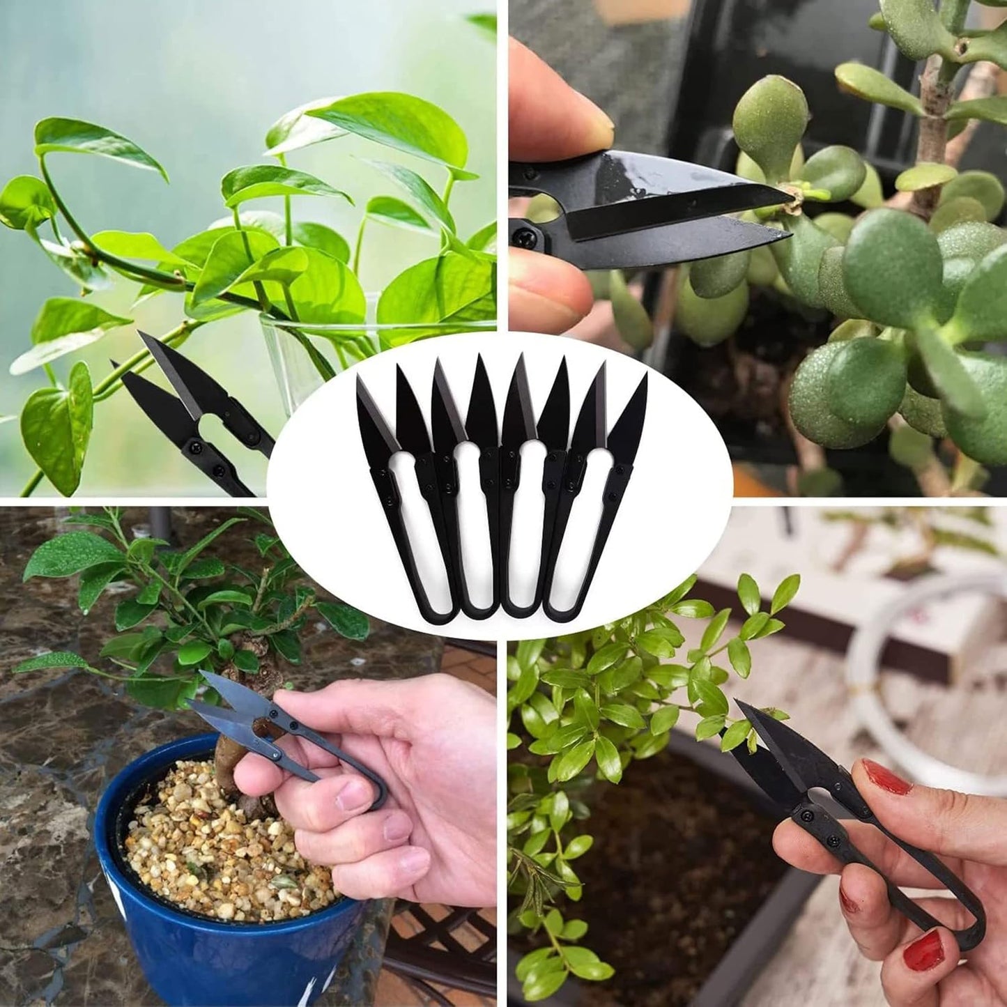 Bonsai Pruning Scissors, Pruning Shears for Bud and Leaves Trimmer 12 PCS, Garden Shears for Plants, Gardening Clippers for Flower, Steel Bud and Bonsai Trimming Pruners Trimmers