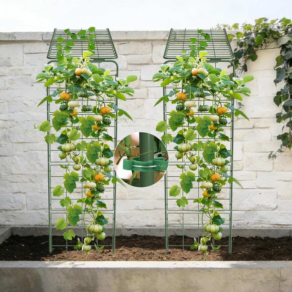Heavy Duty A-Frame Metal Garden Trellis for Climbing Plants, 50"x17" Inch Tall Plant Support with Clips & Garden Ties for Cucumbers, Squash, Beans & Vines (2)