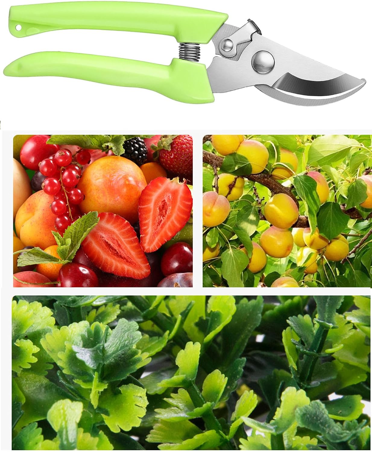 Garden Flower Shears Pruning Shears 6.9 inches Scissors Heavy Duty Plant Scissors for Cutting Flowers, Trimming Plants, Bonsai, Fruits Picking (Pink Handle)