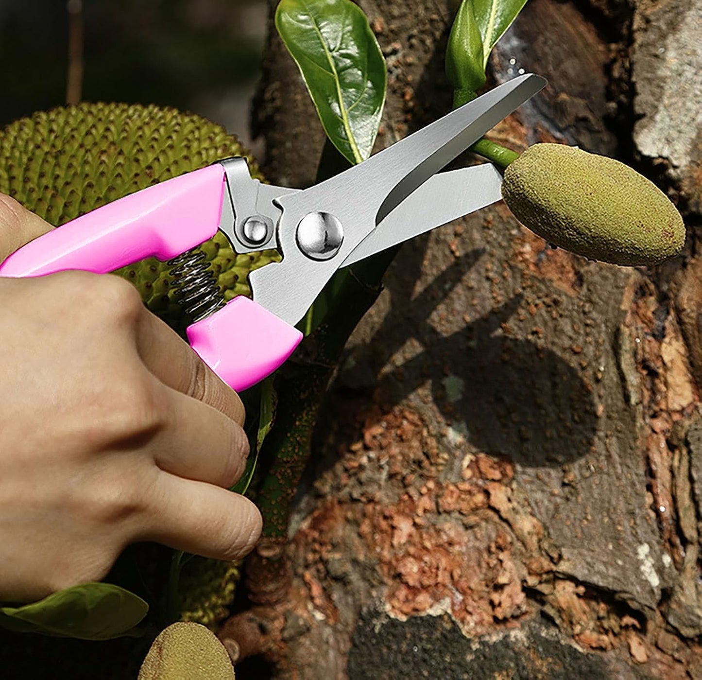 Garden Flower Shears Pruning Shears 6.9 inches Scissors Heavy Duty Plant Scissors for Cutting Flowers, Trimming Plants, Bonsai, Fruits Picking (Pink Handle)