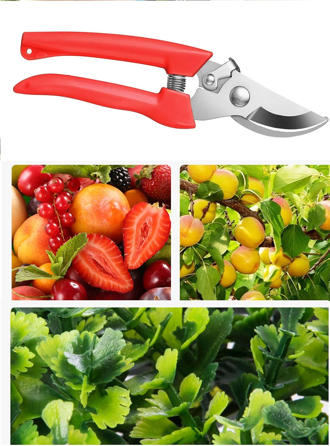 Garden Flower Shears Pruning Shears 6.9 inches Scissors Heavy Duty Plant Scissors for Cutting Flowers, Trimming Plants, Bonsai, Fruits Picking (Pink Handle)