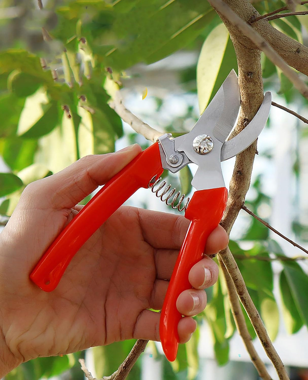 Garden Flower Shears Pruning Shears 6.9 inches Scissors Heavy Duty Plant Scissors for Cutting Flowers, Trimming Plants, Bonsai, Fruits Picking (Pink Handle)