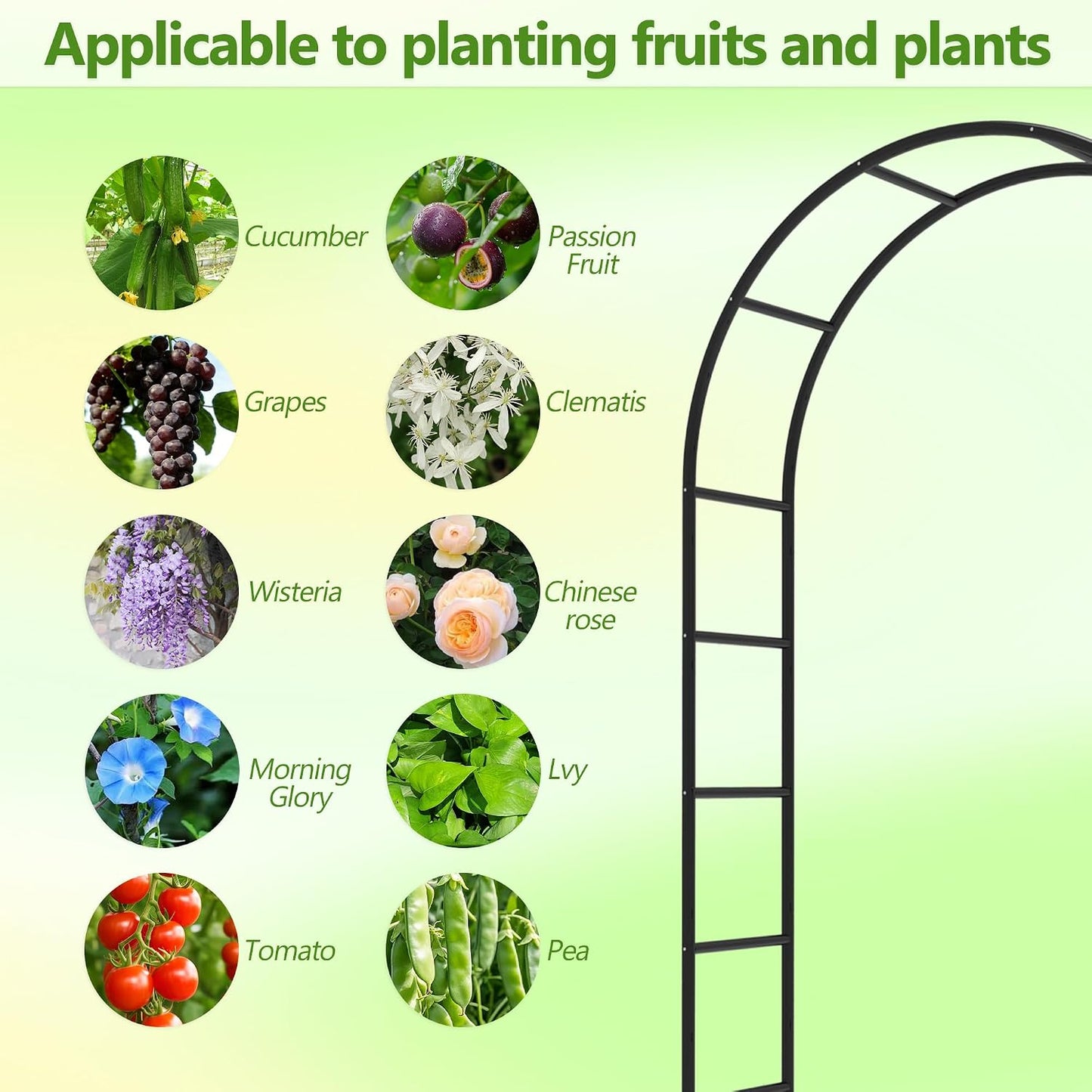 Garden Abor - 88"(H)*51"(L), Sturdy Metal Garden Arch with Rust-Resistant Finish, Trellis for Climbing Plants Outdoor, Ideal as Wedding Arches for Ceremony（20MM Pipe）