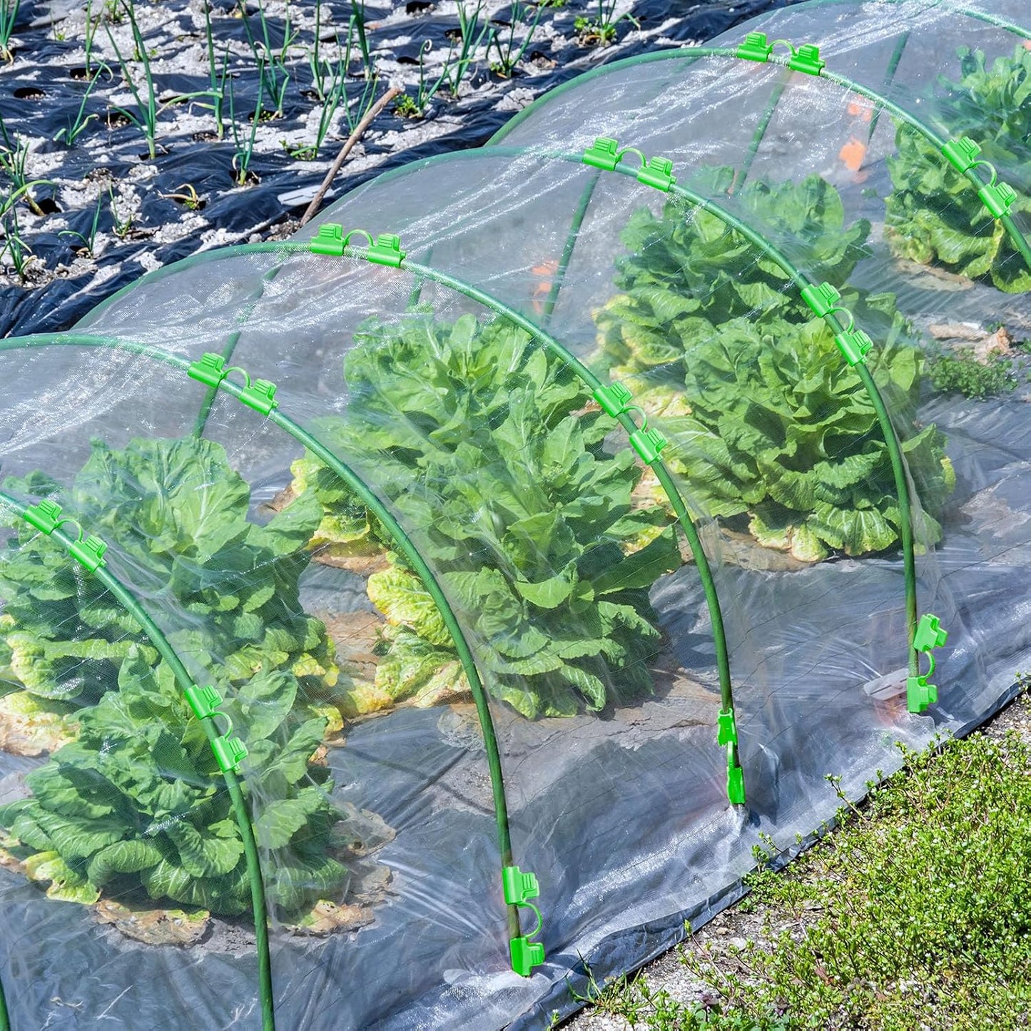 60 Pcs Garden Hoops for Raised Beds, 12 Sets Greenhouse Hoops Grow Tunnel Rust-Free Fiberglass Hoop House Kit, Plant Support Garden Stakes Hoops Frame for Netting Shade Cloth Row Cover Garden Supplies