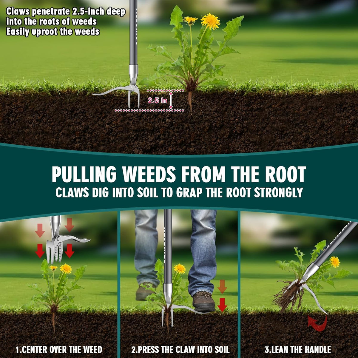 52'' Weed Puller Tool Stand-up Weeder with Metal Long Handle/Stainless Steel Claw, Gardening Manual Tool Weed Gripper/Picker/Remover No Bending/Kneeling to Remove Dandelion Form Lawn Patio