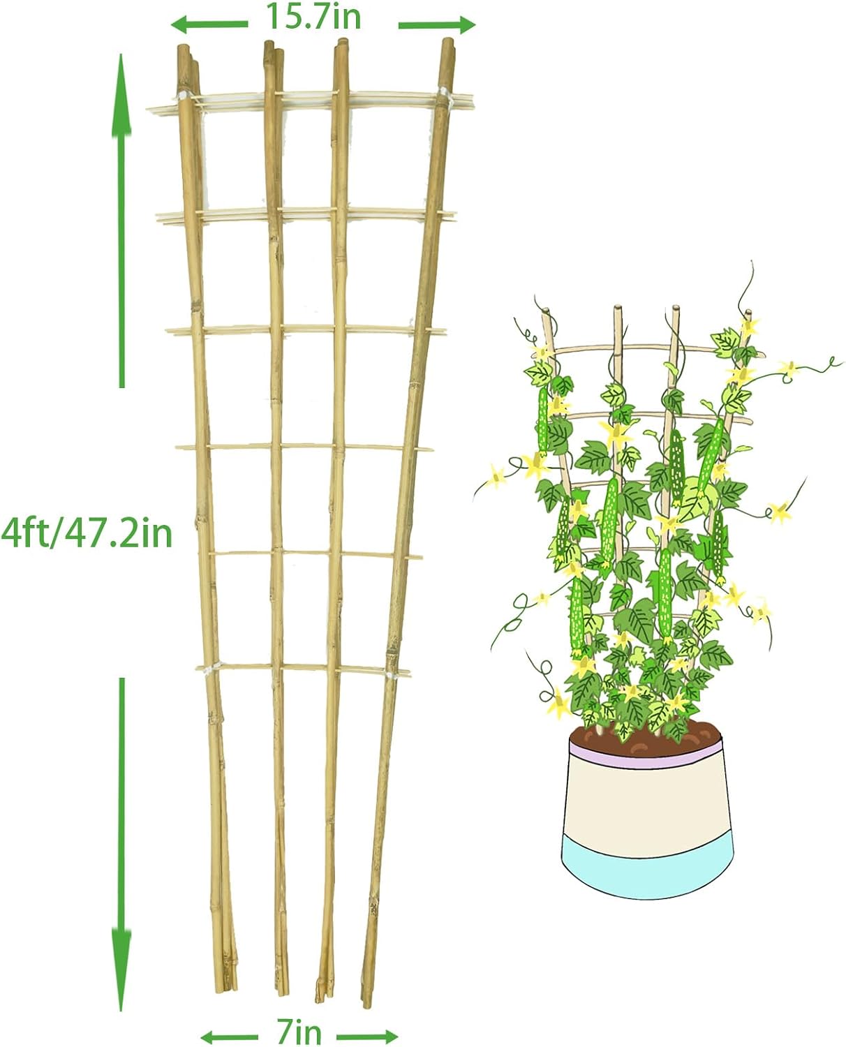 Natural BambooTrellis, 4Feet,3Pack, ,Fan-Shaped Plant Support Trellis
