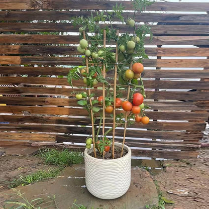 Natural BambooTrellis, 4Feet,3Pack, ,Fan-Shaped Plant Support Trellis