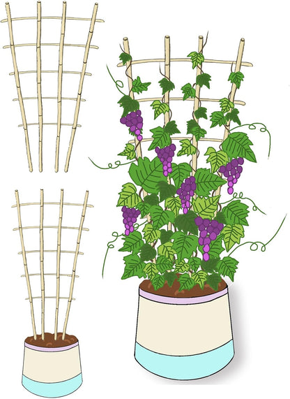 Natural BambooTrellis, 4Feet,3Pack, ,Fan-Shaped Plant Support Trellis