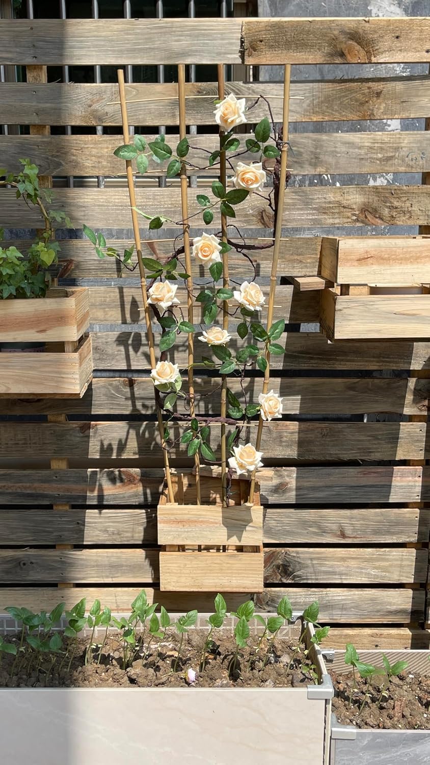 Natural BambooTrellis, 4Feet,3Pack, ,Fan-Shaped Plant Support Trellis