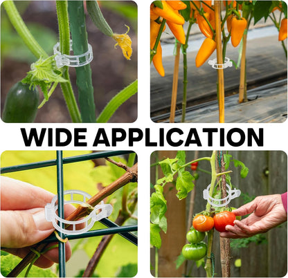 180 Pcs Plant Support Clips, Clear Plastic Trellis Clips, Garden Clips, Vegetable Clips, Vine Tomato Clips for Plants Support, Plant Clips for Climbing Plants to Grow Upright & Healthier
