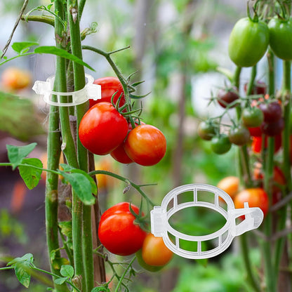 180 Pcs Plant Support Clips, Clear Plastic Trellis Clips, Garden Clips, Vegetable Clips, Vine Tomato Clips for Plants Support, Plant Clips for Climbing Plants to Grow Upright & Healthier