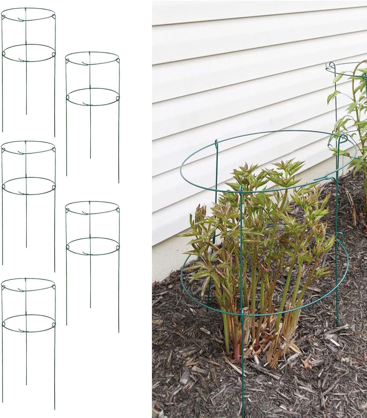 5 Pack 16 x 24 inch Peony Cages,Grow Through Plant Support Stakes, Flower Support Hoops Heavy Plants Brace Rings