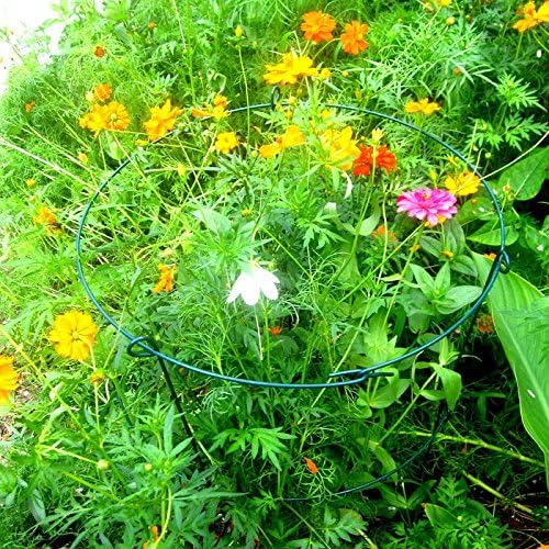 5 Pack 16 x 24 inch Peony Cages,Grow Through Plant Support Stakes, Flower Support Hoops Heavy Plants Brace Rings