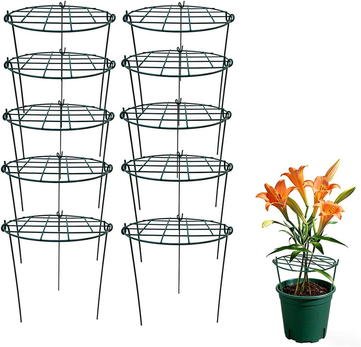 5 Pack 16 x 24 inch Peony Cages,Grow Through Plant Support Stakes, Flower Support Hoops Heavy Plants Brace Rings