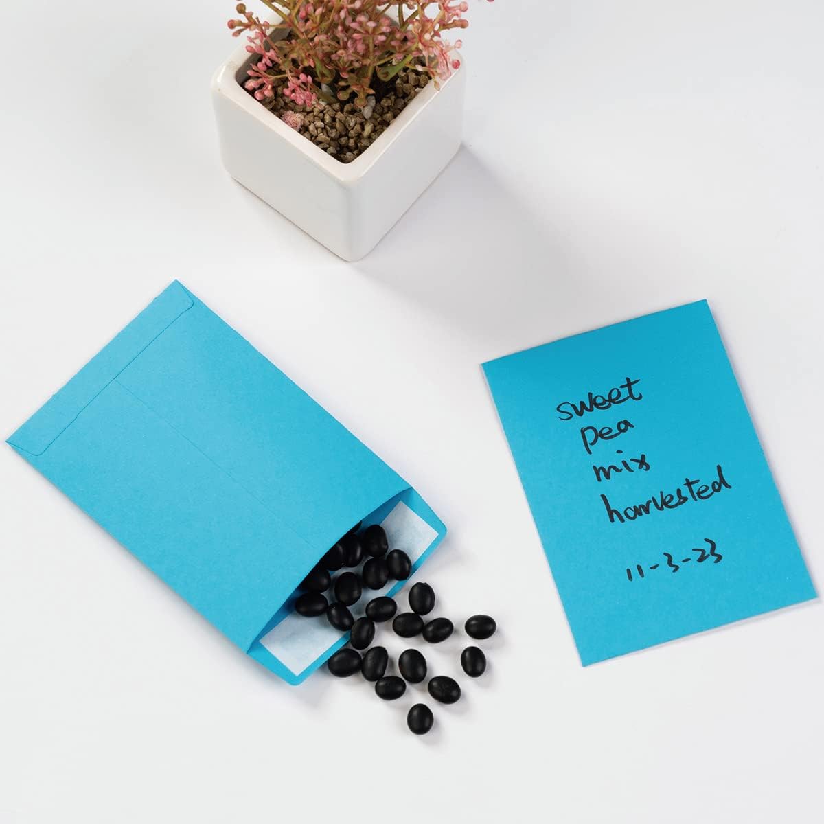 100 Pack Seed Envelopes Self-Adhesive, 3 1/4 x 4 1/2 inches, Sage-Green