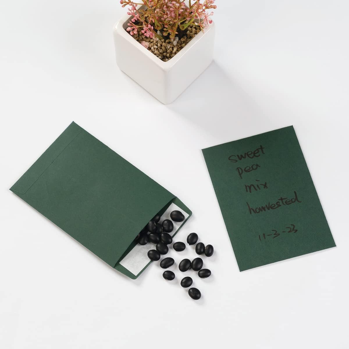 100 Pack Seed Envelopes Self-Adhesive, 3 1/4 x 4 1/2 inches, Sage-Green