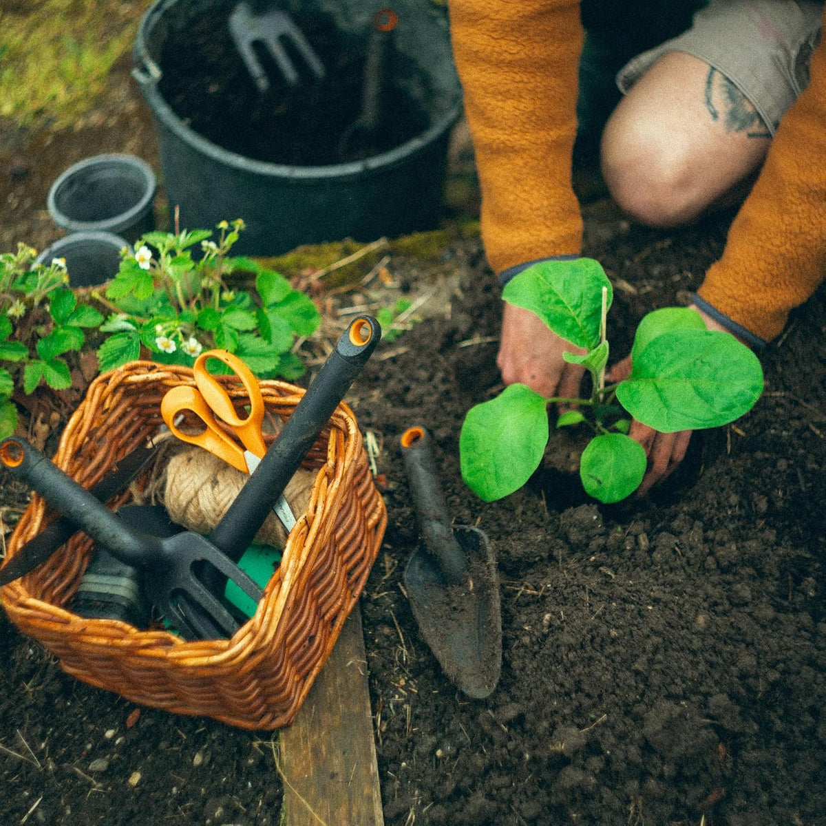 Eco Trowel with Curved Spade, Ergonomic Handle, UV Resistance, Durable, Eco-Friendly Tool for Planters and Garden Beds