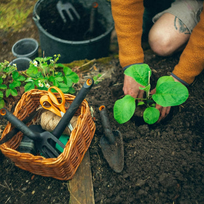 Eco Trowel with Curved Spade, Ergonomic Handle, UV Resistance, Durable, Eco-Friendly Tool for Planters and Garden Beds