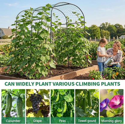 71" x 47" x 83" Garden Arch Trellis for Climbing Plants Outdoor