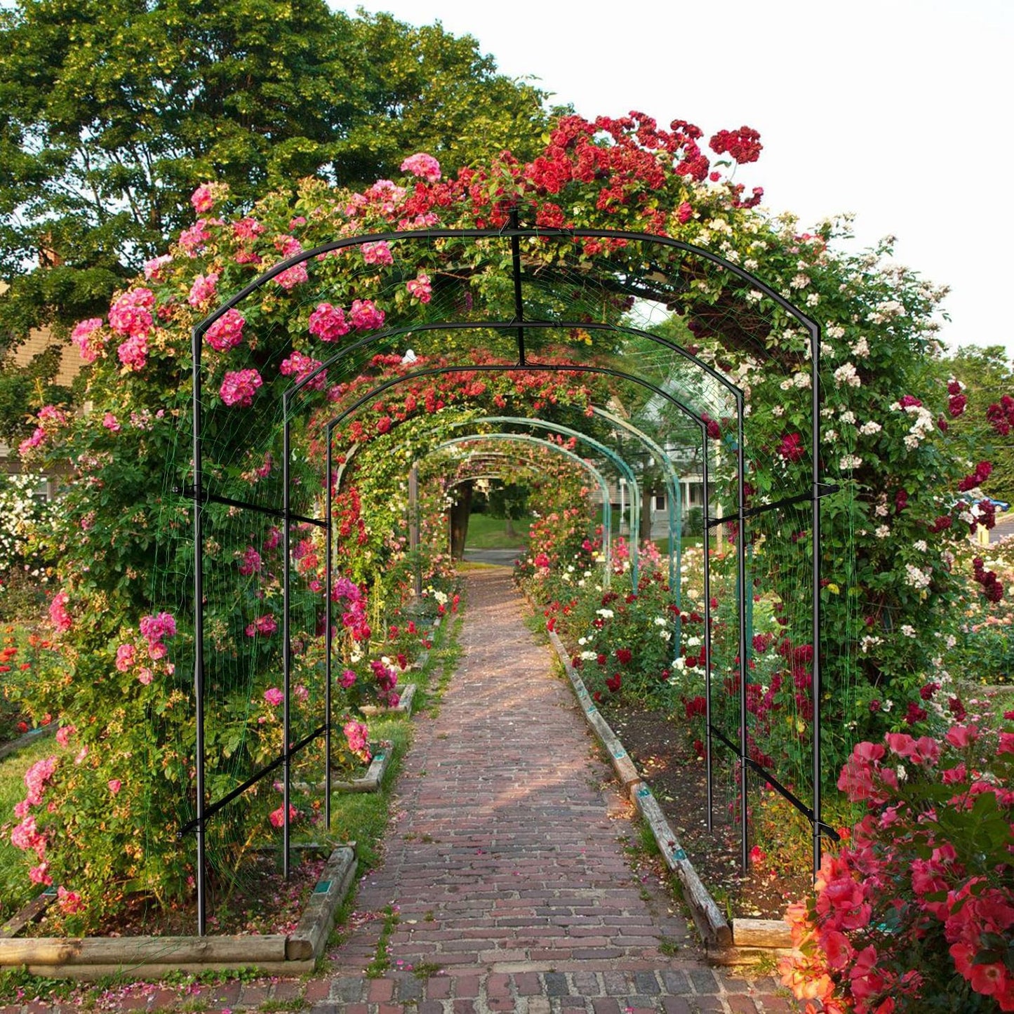 71" x 47" x 83" Garden Arch Trellis for Climbing Plants Outdoor