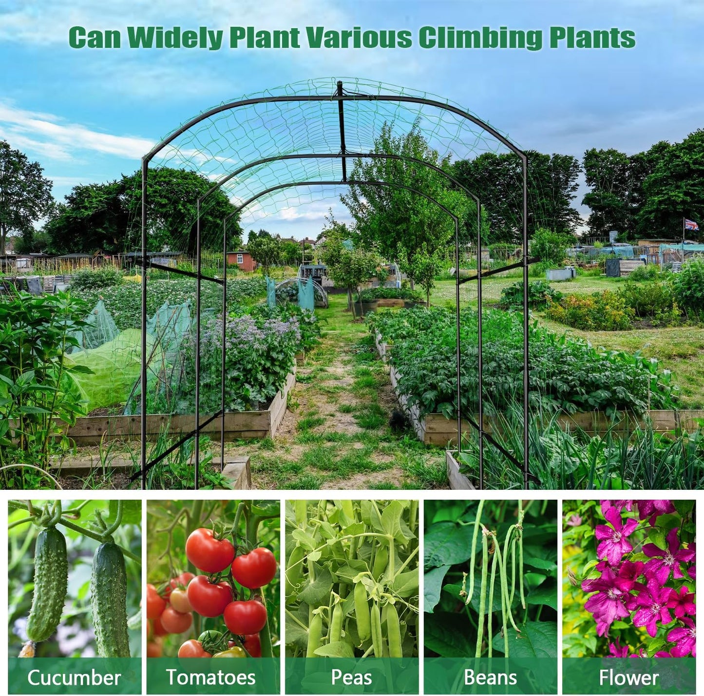 71" x 47" x 83" Garden Arch Trellis for Climbing Plants Outdoor