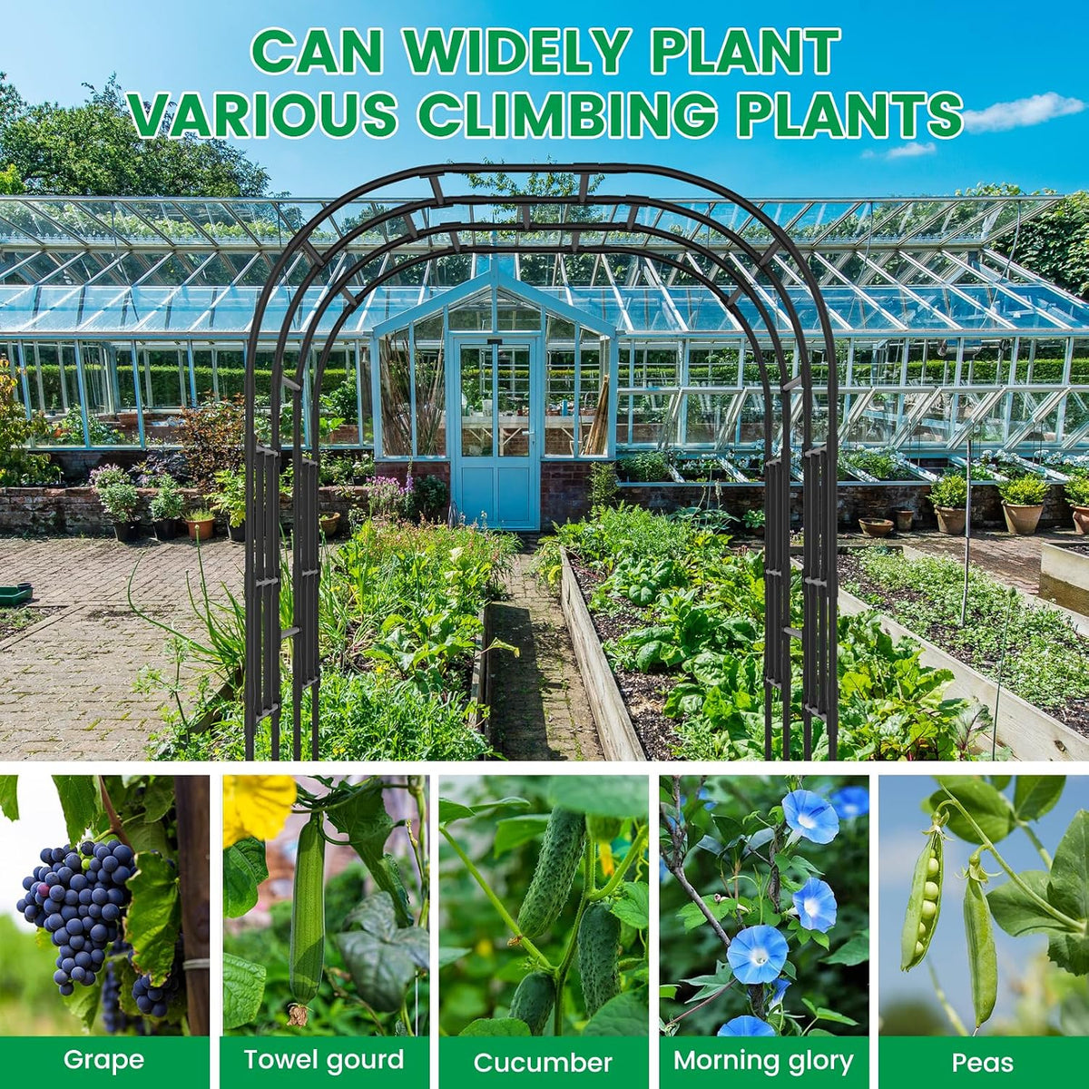 71" x 47" x 83" Garden Arch Trellis for Climbing Plants Outdoor