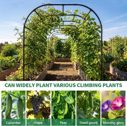 71" x 47" x 83" Garden Arch Trellis for Climbing Plants Outdoor