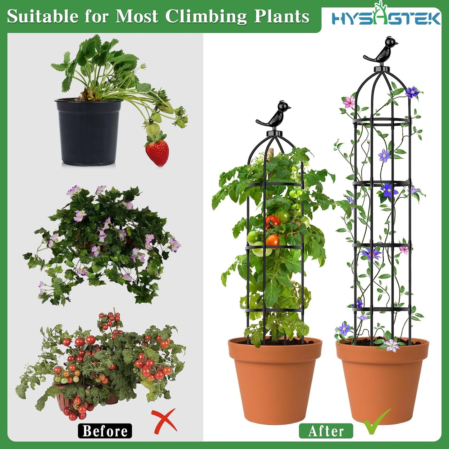 2 Pack Garden Obelisk Trellis for Climbing Plants, Garden Outdoor Indoor Potted Plant Support, Removable Obelisk Trellis with 20 Plant Clips