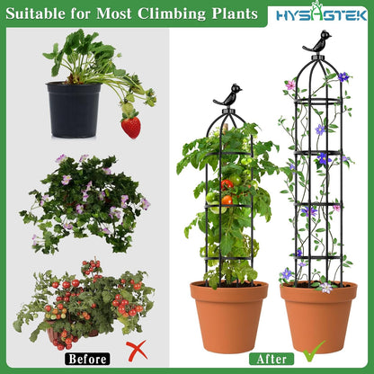 2 Pack Garden Obelisk Trellis for Climbing Plants, Garden Outdoor Indoor Potted Plant Support, Removable Obelisk Trellis with 20 Plant Clips