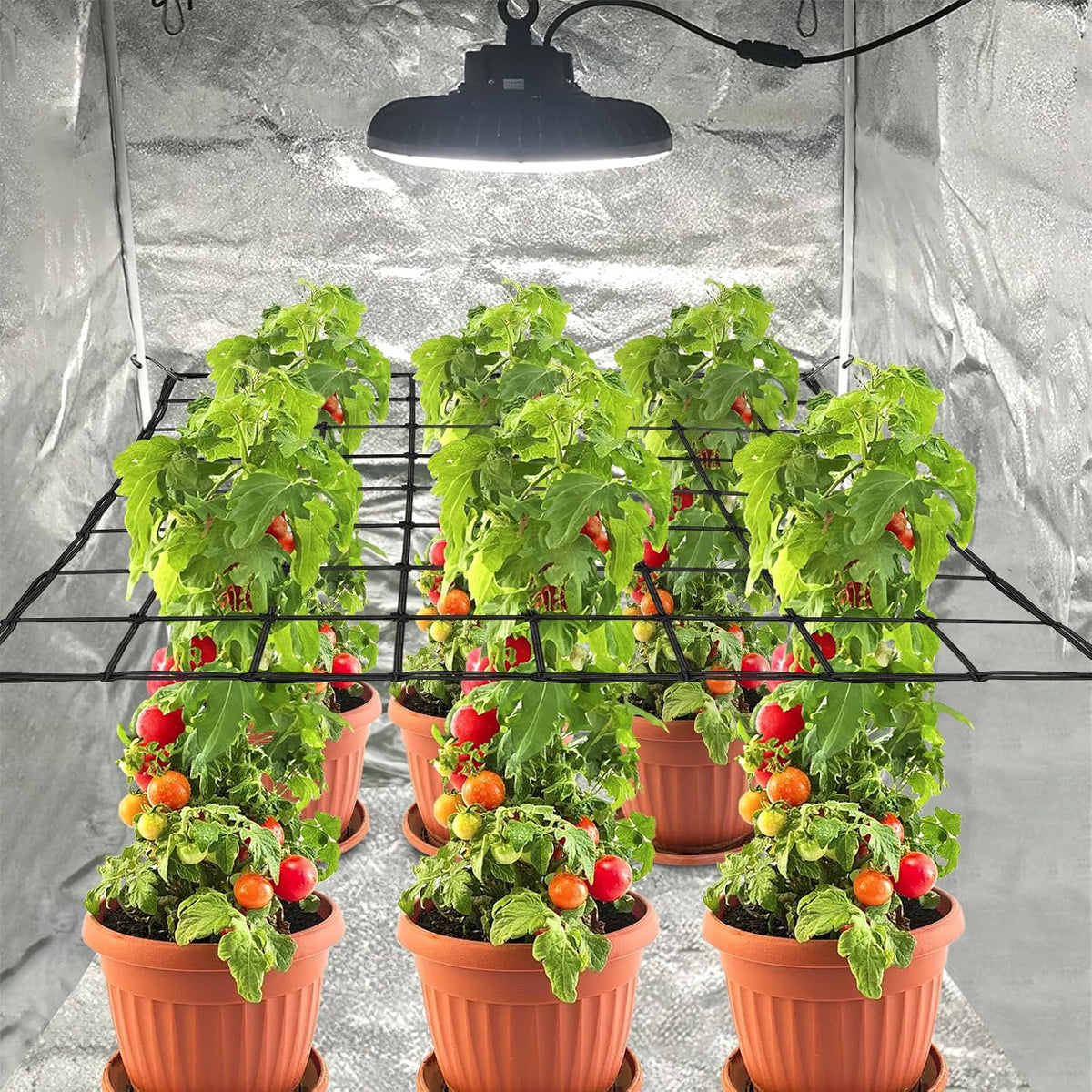 Trellis Netting, Scrog Net 4×4 ft, Heavy-Duty, Grow Tent Accessories, 1 Pcs