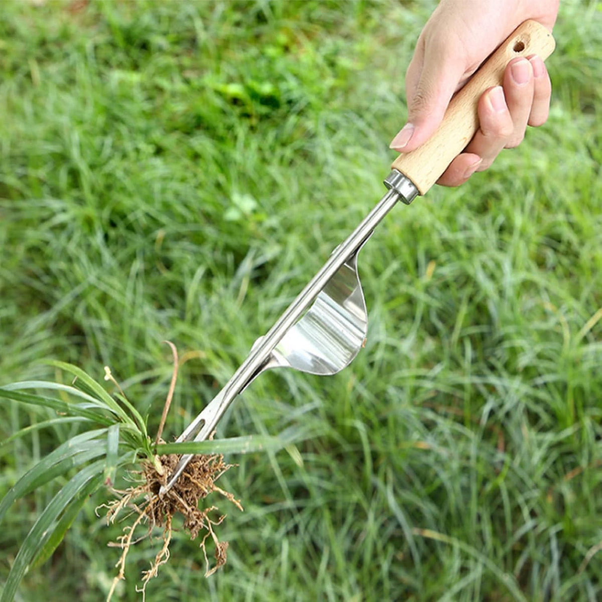 Garden Weeder Hand Tool,Ergonomic Weeding Tools,Stainless Steel Base - Easy Weed Removal and Deeper Digging for Planting and Weeding V…
